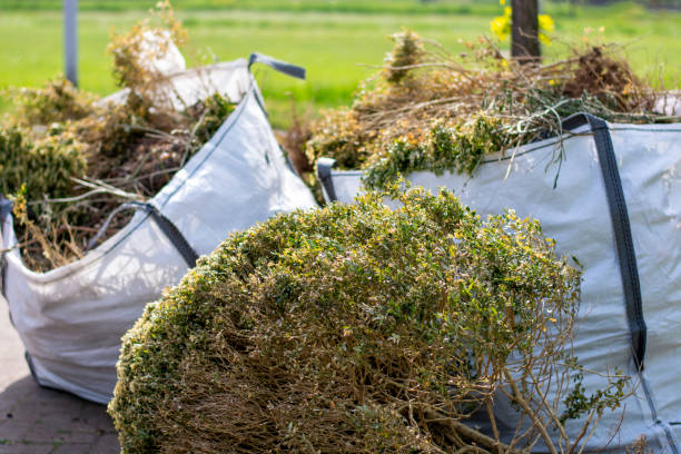 Best Property Management Cleanouts  in Bound Brook, NJ